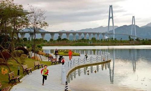 红光湖网红地,光影交织的梦幻仙境