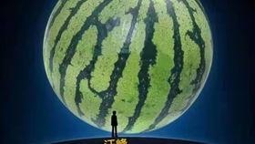 吃瓜网友上窜下跳,网络舆论场上的“跳梁小丑”