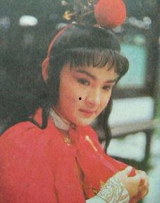 最像贾宝玉明星